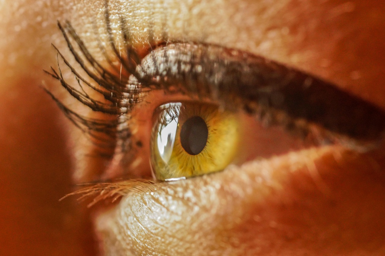 eye, pupil, vision, iris, close up, eye, eye, eye, eye, eye, vision, vision